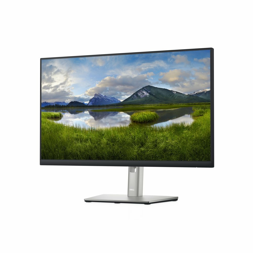 DELL P2422H 23.8" | 1920x1080 IPS | 60Hz | Monitor