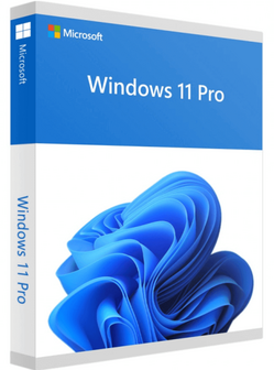Microsoft Windows 11 Pro 64bit DVD OEM