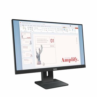 Lenovo ThinkVision E24-40 | 23,8" Full HD IPS | 100Hz | HDMI &amp; DisplayPort | Monitor