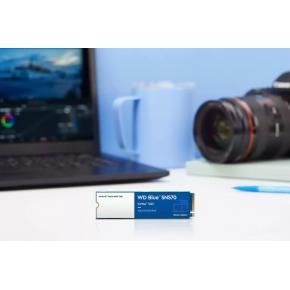 Western Digital WDS250G3B0C SN570 Blue SSD, 250 GB, M.2 NVMe, 3300/ 1200 MB/s