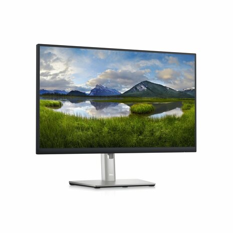 DELL P Series 24 inch QHD Monitor - P2423D