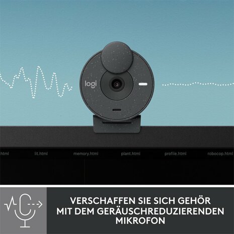 Logitech Brio 300 webcam 2 MP 1920 x 1080 Pixels USB-C Grafiet