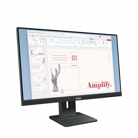 Lenovo ThinkVision E24-40 | 23,8" Full HD IPS | 100Hz | HDMI & DisplayPort | Monitor