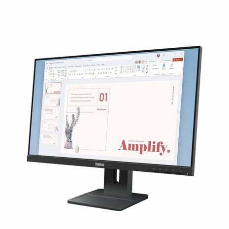 Lenovo ThinkVision E24-40 | 23,8" Full HD IPS | 100Hz | HDMI & DisplayPort | Monitor