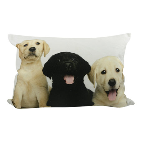Kussen puppies labrador