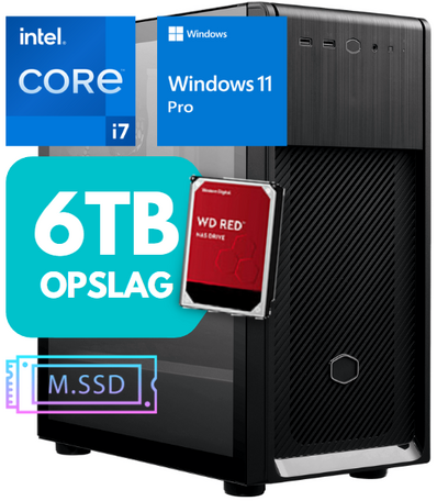 Storage Core i7 12700 12-Core 32GB 1TB SSD M.2 + 6TB 2x DisplayPort USB-C Win11