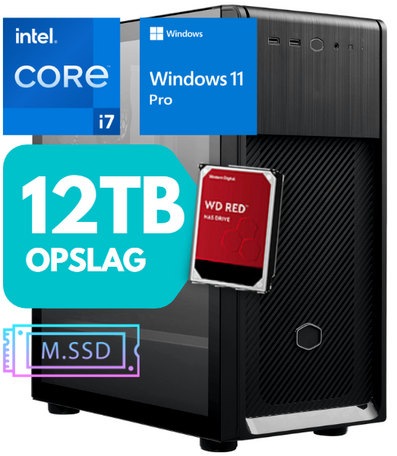 Storage Core i7 12700 12-Core 32GB 1TB SSD M.2 + 12TB 2x DisplayPort USB-C Win11