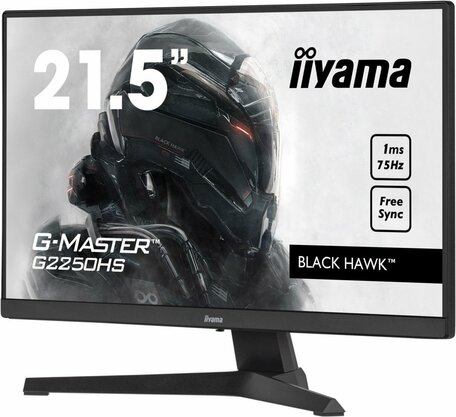 iiyama G-MASTER G2250HS-B1 computer monitor 54,6 cm (21.5