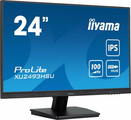IIyama 24